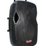 CABINA ACTIVA PB-15LMP3-B