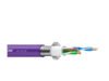 CAT5FB 26AWG PURPLE - Imagen 2