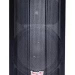 CABINA ACTIVA DE 2 VIAS PRO DJ P15AH-DSP