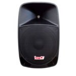 CABINA ACTIVA PRO DJ PSA15A